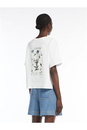 T-shirt LECCO in cotone organico 2515941052600001 MAX MARA WEEKEND | Blusa | 2515941052600001